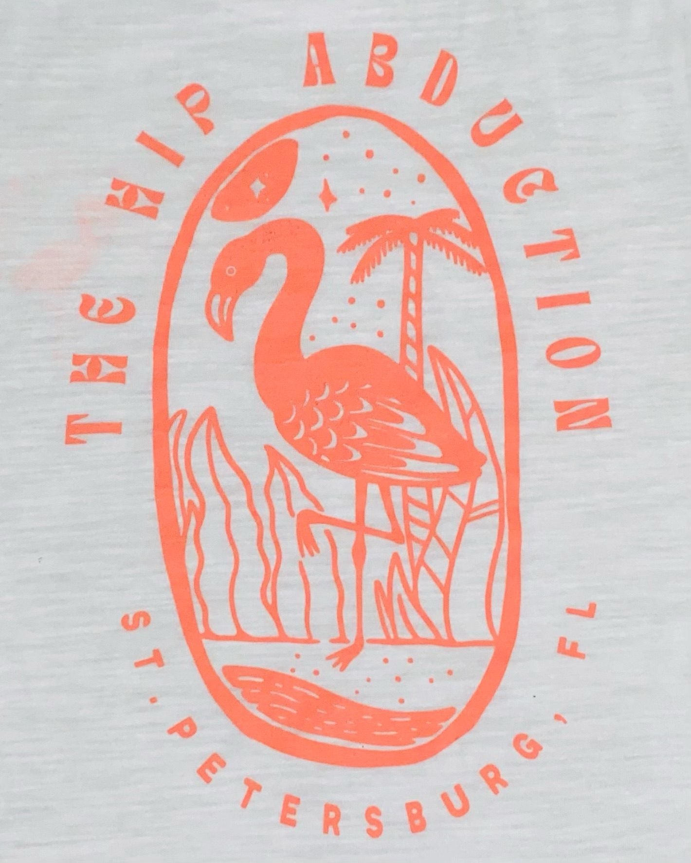 Women's Flamingo Relaxed Vintage Slub T
